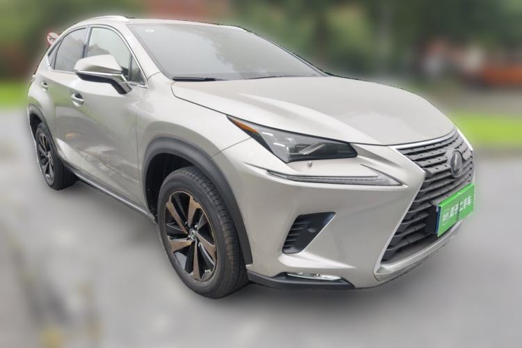 Lexus nx 2020 — фото 3