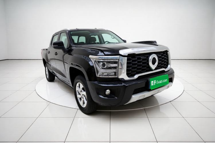 Great Wall Poer 2023 — 3