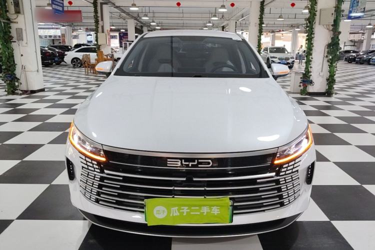 BYD Destroyer 05 2024 — фото 2
