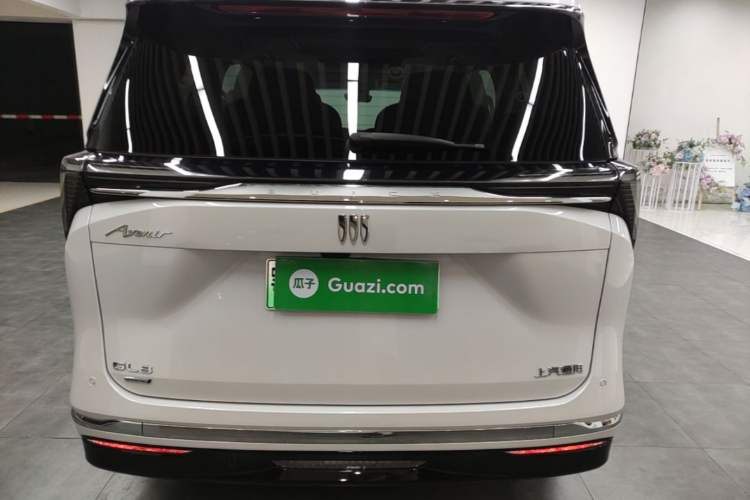 Buick GL8 New Energy 2024 — 5