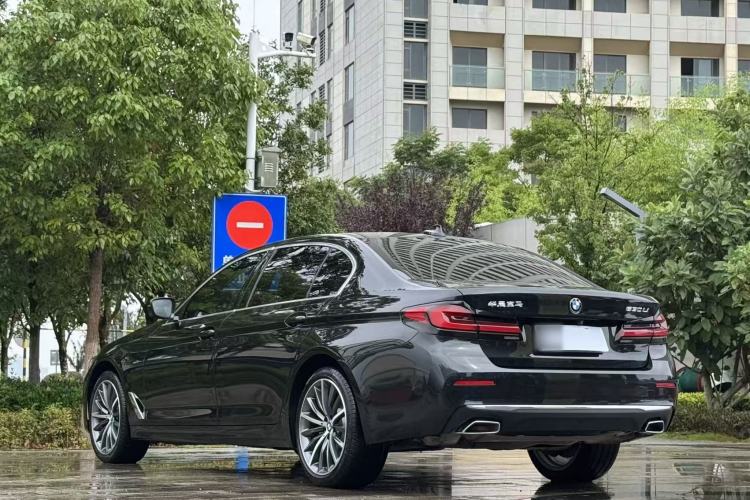 BMW 530Li 2021 — фото 4