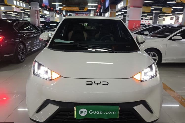 BYD Dolphin Mini 2025 — 2