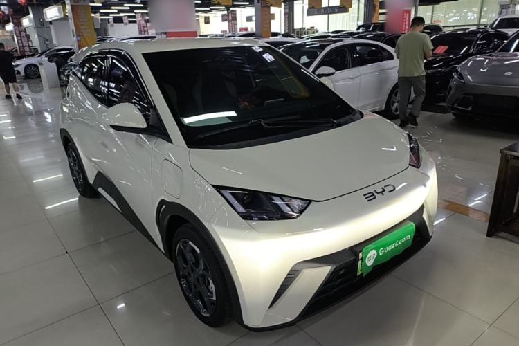 BYD Dolphin Mini 2025 — 3
