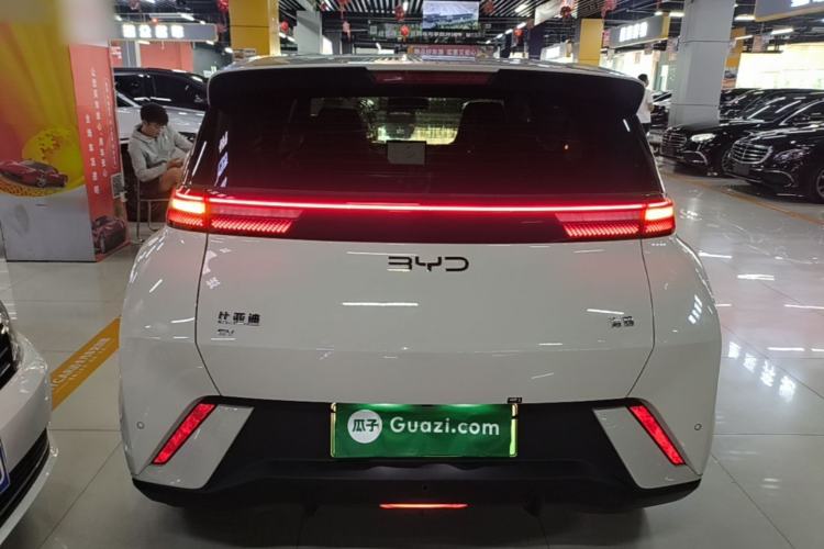 BYD Dolphin Mini 2025 — 5