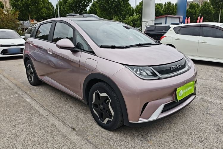 BYD Dolphin 2021 — 3
