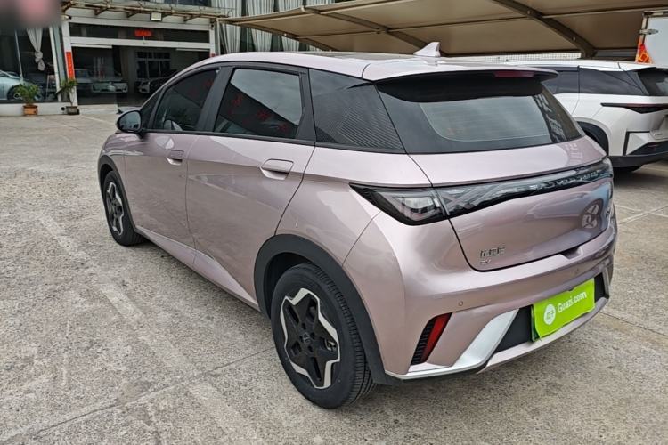 BYD Dolphin 2021 — 4