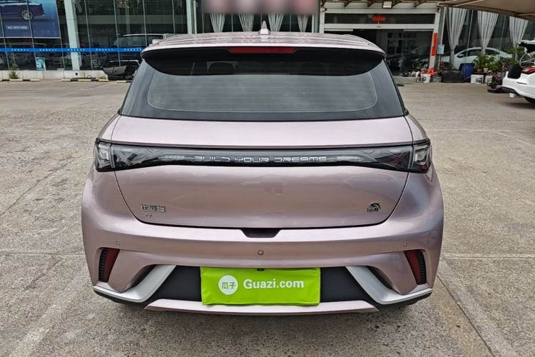 BYD Dolphin 2021 — 5