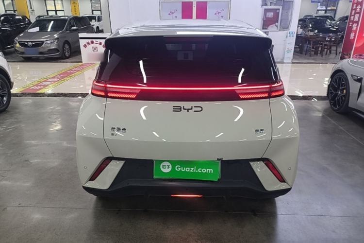 BYD Dolphin Mini 2025 — 5