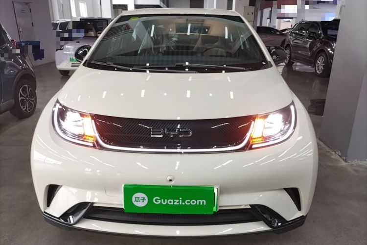BYD Dolphin 2025 — 2