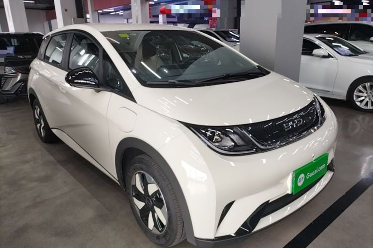 BYD Dolphin 2025 — 3