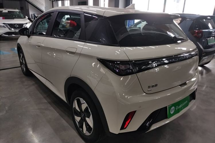 BYD Dolphin 2025 — 4