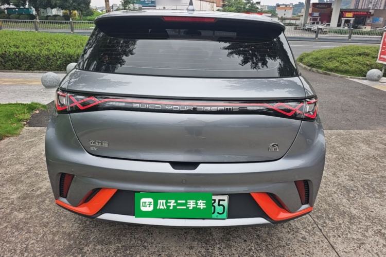 BYD Dolphin 2021 — 5