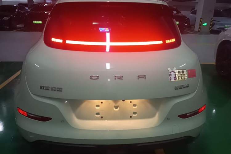 Ora Good Cat 2023 — 5