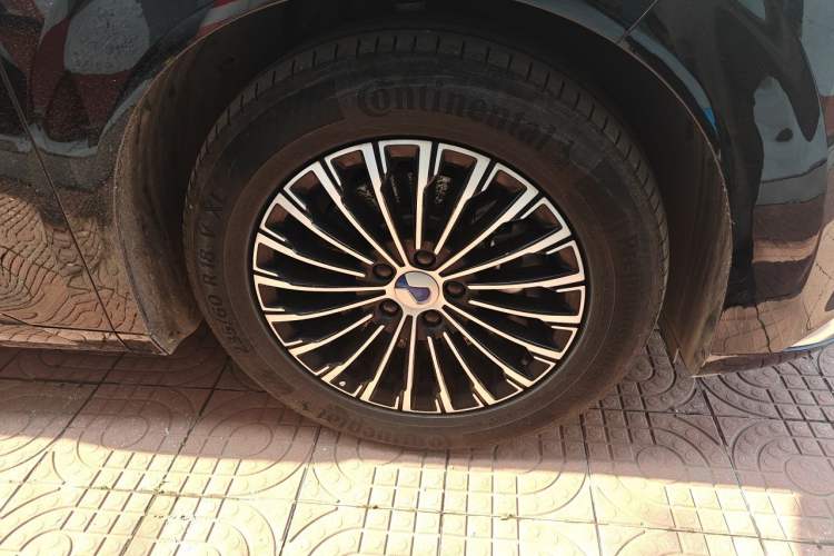 Denza D9 2024 — 5