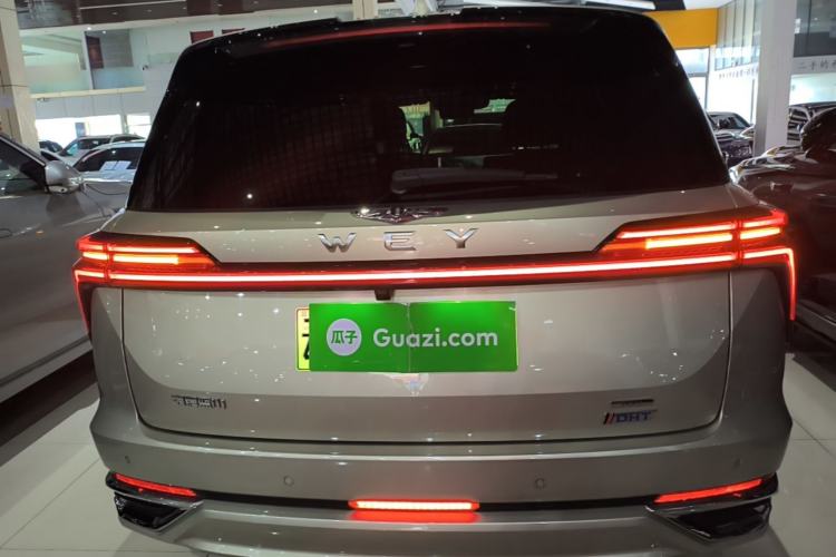WEY Lanshan 2023 — 5