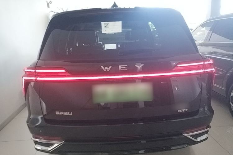 WEY Lanshan 2025 — 5
