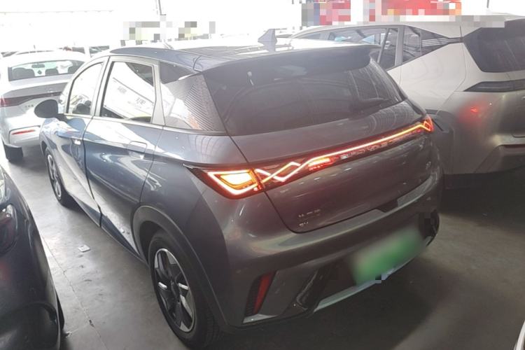 BYD Dolphin 2024 — 4