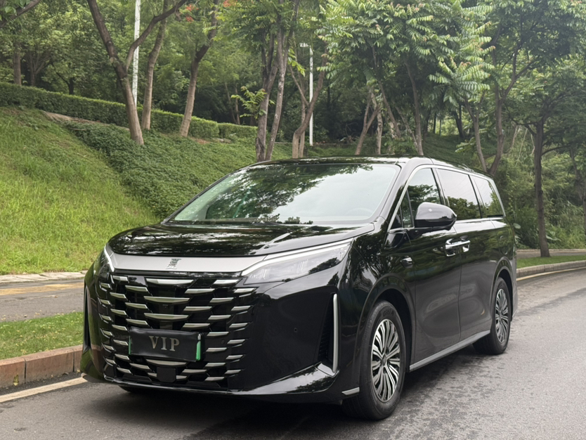 BYD Xia 2025 — фото 1
