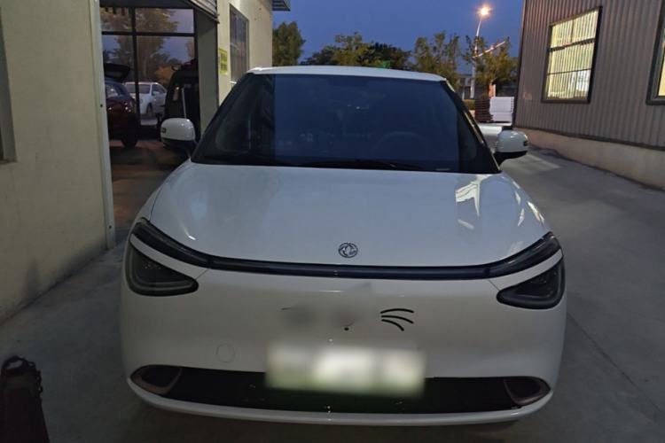 DongFeng NAMMI 01 2025 — 2