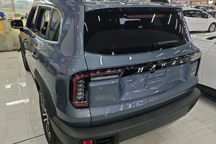 Haval Dargo 2021 — 4