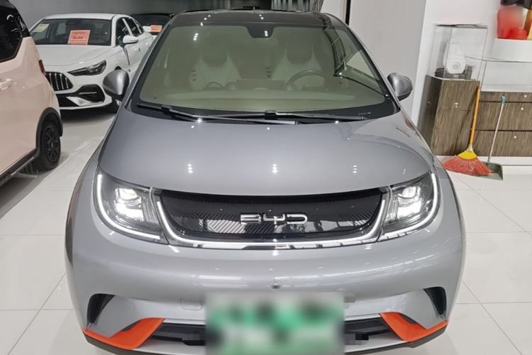 BYD Dolphin 2021 — 2