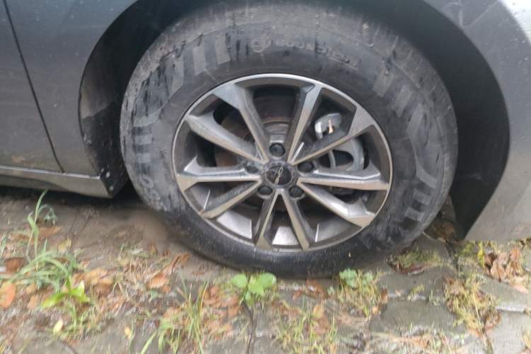 BYD Destroyer 05 2023 — 5