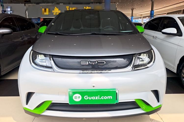 BYD Dolphin 2021 — 2