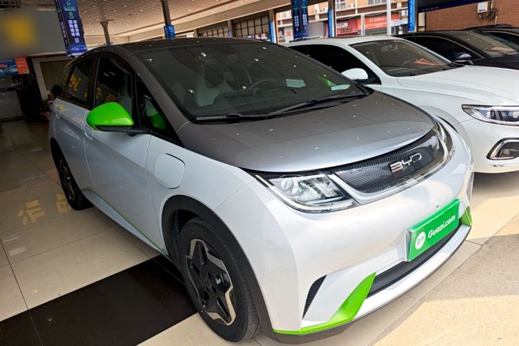 BYD Dolphin 2021 — 3