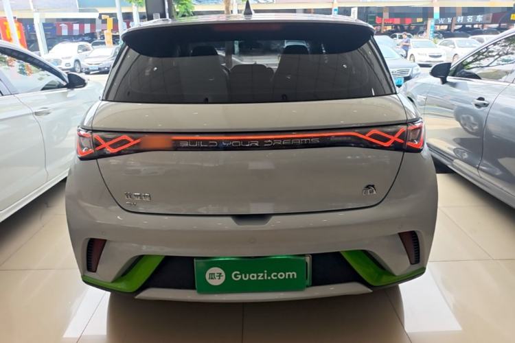 BYD Dolphin 2021 — 5