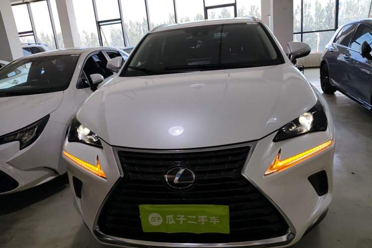 Lexus nx 2020 — фото 2