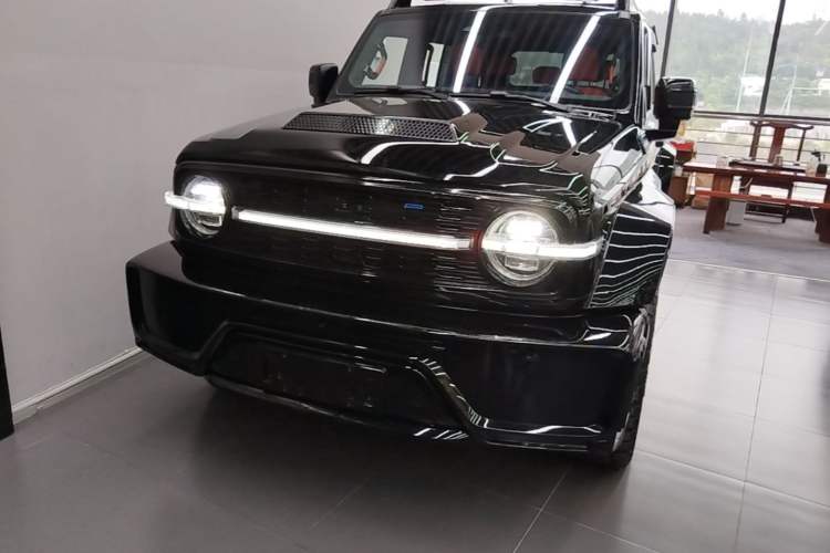 Tank Tank 300 2023 — 2