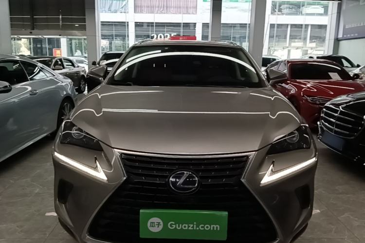 Lexus NX 300h 2020 — фото 2