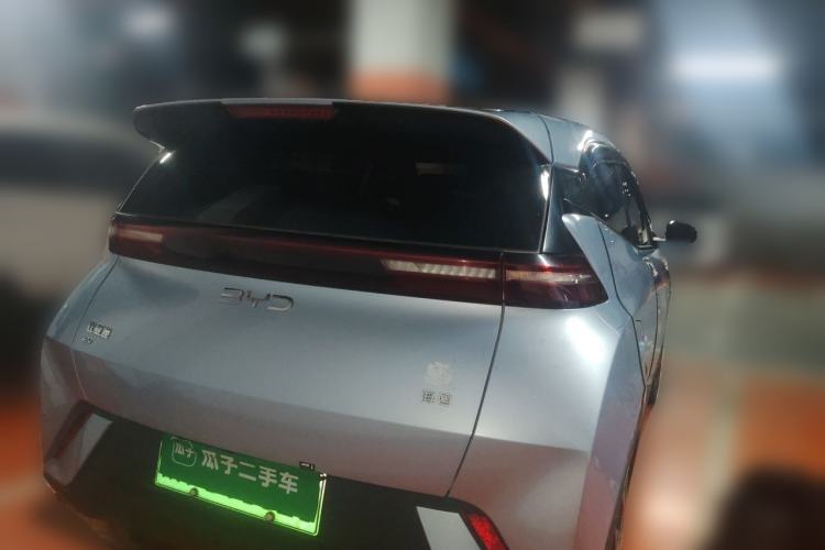 BYD Dolphin Mini 2025 — 5