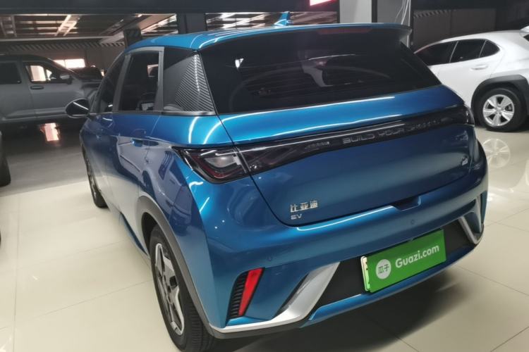 BYD Dolphin 2021 — 4