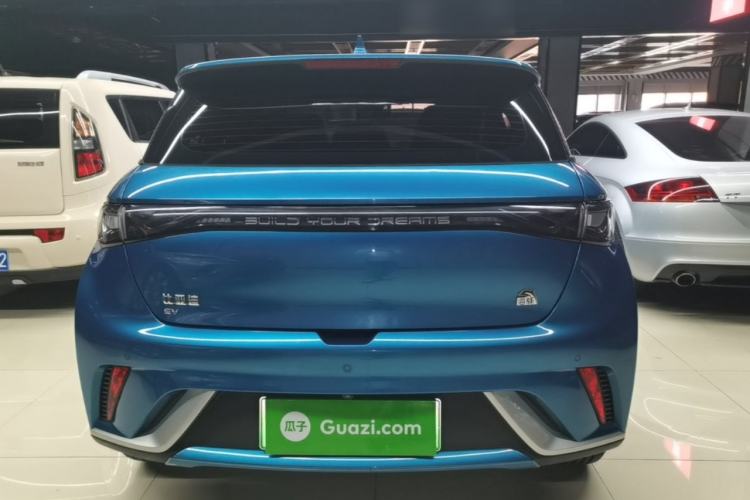 BYD Dolphin 2021 — 5