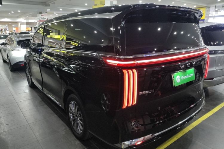 WEY Gaoshan 2025 — 4