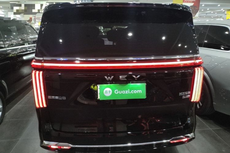 WEY Gaoshan 2025 — 5