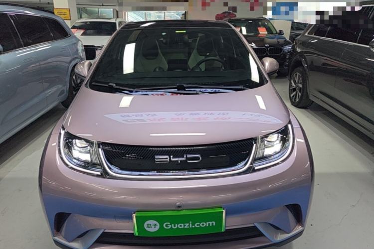 BYD Dolphin 2021 — 2