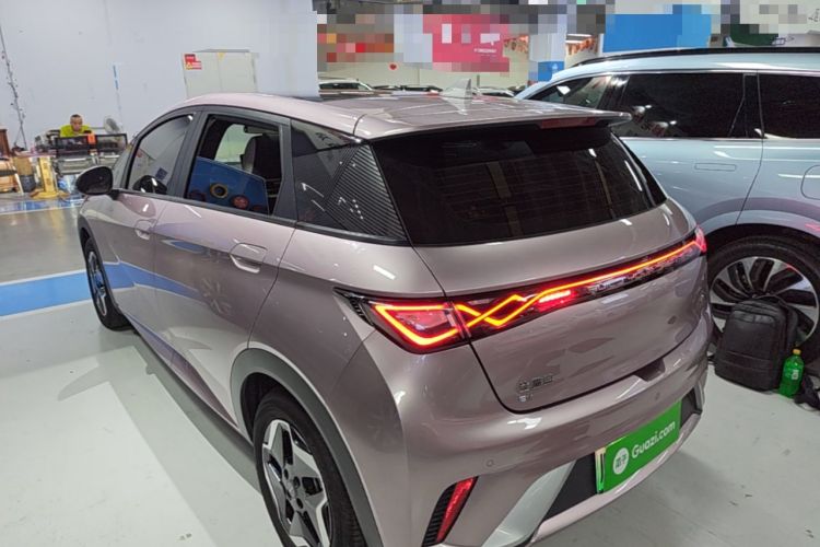 BYD Dolphin 2021 — 4