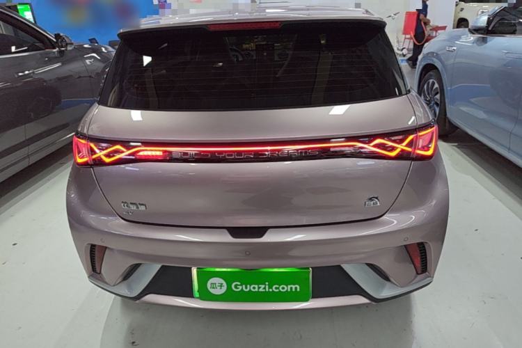 BYD Dolphin 2021 — 5