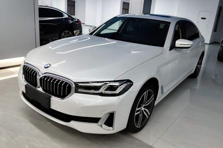 BMW 530Li 2021 — фото 1