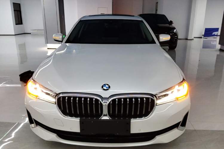 BMW 530Li 2021 — фото 2