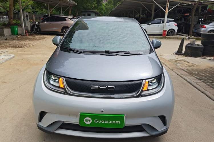 BYD Dolphin 2021 — 2