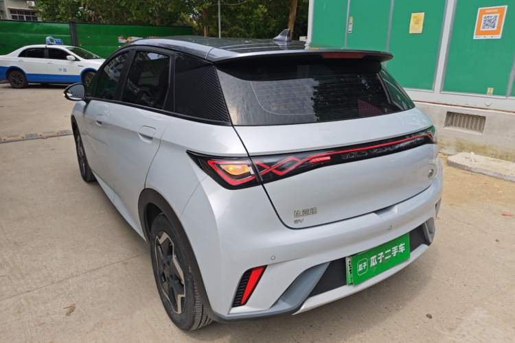 BYD Dolphin 2021 — 4