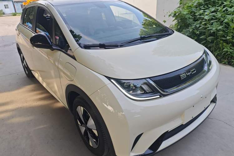 BYD Dolphin 2023 — 3