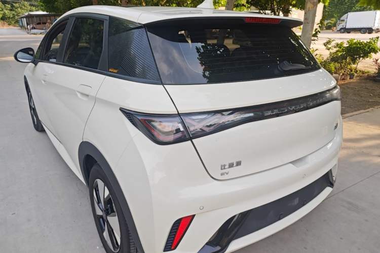 BYD Dolphin 2023 — 4