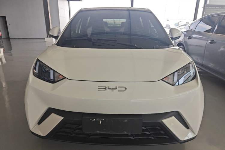 BYD Seagull 2025 — 2