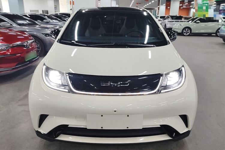 BYD Dolphin 2021 — 2