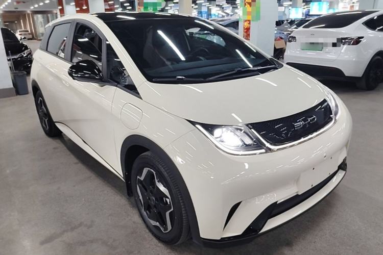 BYD Dolphin 2021 — 3