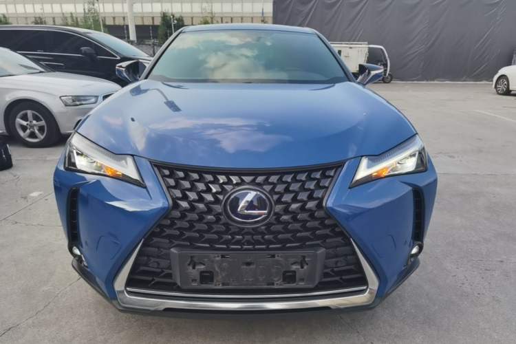 Lexus UX 300e 2020 — фото 2